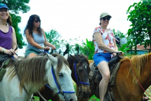 Higuey: Truck Safari van een halve dag met lunchbuffet