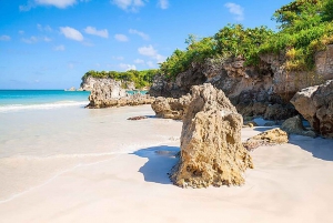 Higuey: Safari in camion di mezza giornata con pranzo a buffet