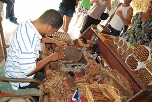 Higuey: Medio Día de Safari en Camión con Almuerzo Buffet