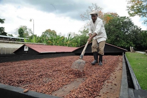 Higuey: Halbtägige Truck-Safari mit Mittagsbuffet