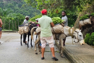 Vandretur Tabernacle Thundering Waterfall