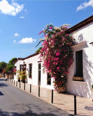 Hodelpa Caribe Colonial