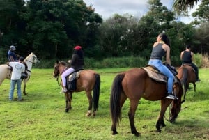 RIDETURER I PUERTO PLATA