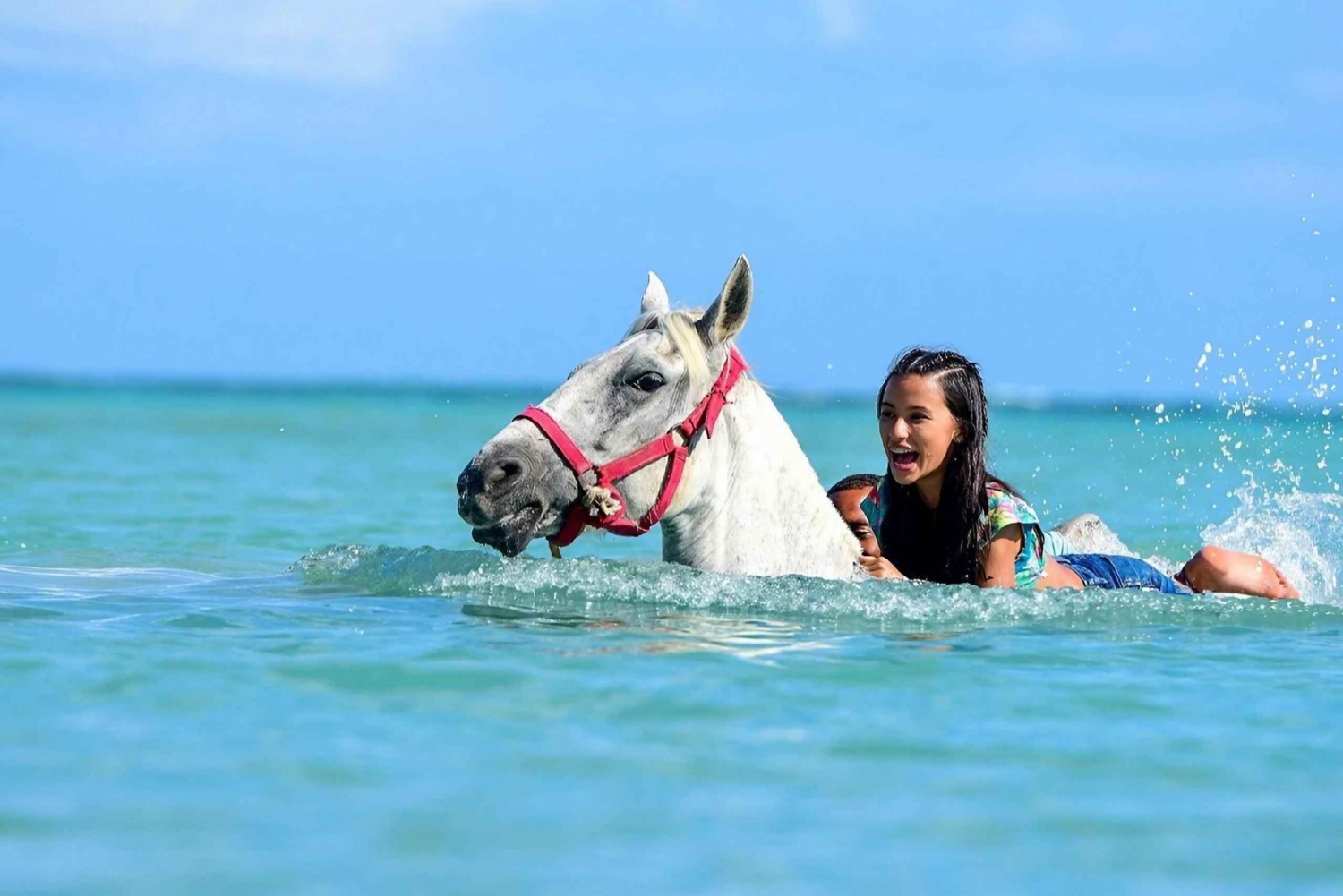 Aventura a nado a caballo en Punta Cana con traslados