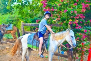 Équitation à Macao Beach and River avec transferts