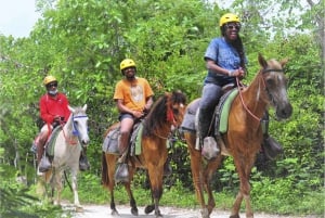 Randonnée à cheval sur la plage de Macao Découvrez le paradis à dos de cheval