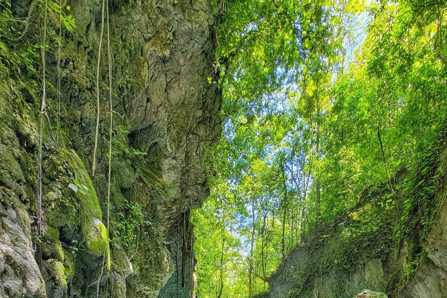 Hour Rio Partido's Secret River Trail with Lunch