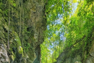 Hour Rio Partido's Secret River Trail with Lunch