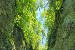 Hour Rio Partido's Secret River Trail with Lunch