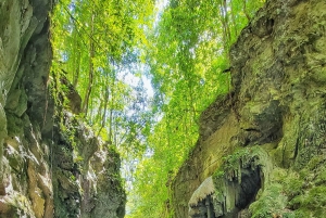 Hour Rio Partido's Secret River Trail with Lunch