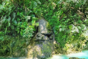 Hour Rio Partido's Secret River Trail with Lunch