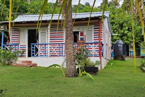 Individual full-day tour 'Land & People' - from/to Bávaro/Punta Cana