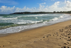 Individual full-day tour 'Land & People' - from/to Bávaro/Punta Cana