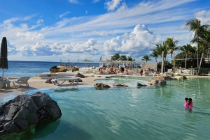 Individual full-day tour 'Land & People' - from/to Bávaro/Punta Cana