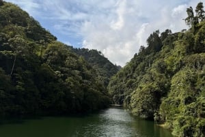 Into the Green: Jungle Trails & Hidden Cascadas in Bonao