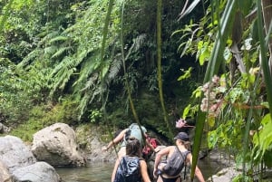 Into the Green: Jungle Trails & Hidden Cascadas in Bonao