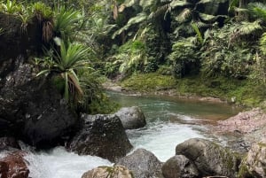 Into the Green: Jungle Trails & Hidden Cascadas in Bonao