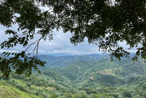 Into the Green: Jungle Trails & Hidden Cascadas in Bonao