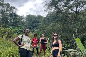 Into the Green: Jungle Trails & Hidden Cascadas in Bonao