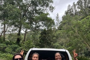 Into the Green: Jungle Trails & Hidden Cascadas in Bonao