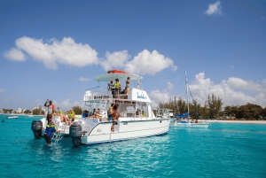 Isla Catalina: All-Inclusive-Schnorcheln und Strandtag in Punta Cana