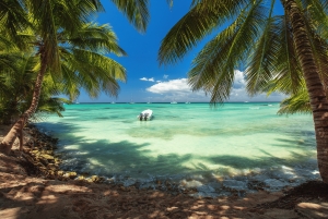 Isla Catalina: All-Inclusive-Schnorcheln und Strandtag in Punta Cana