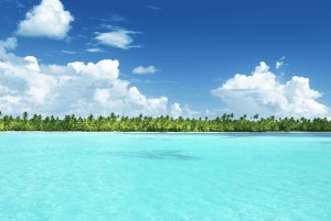 Isla Catalina: All-Inclusive-Schnorcheln und Strandtag in Punta Cana