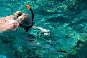 Isla Catalina: Full-Day Snorkeling Tour