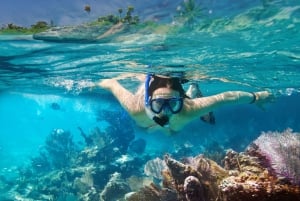 Isla Catalina: Full-Day Snorkeling Tour