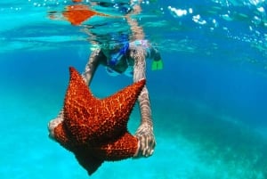 isla saona día completo