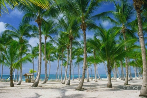 Punta Cana: Katamaranbåt till ön Saona med buffélunch