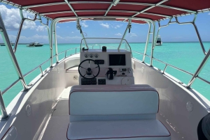 Isla Saona Private Catamaran Cruise (All Inclusive)