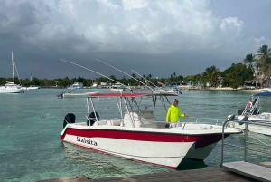 Isla Saona Private Catamaran Cruise (All Inclusive)