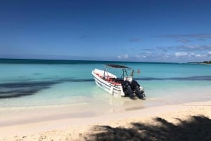 Isla Saona Wildlife Safari: All-inclusive-paketti