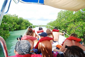 Isla Saona Wildlife Safari: All-inclusive-paketti