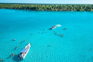 Isla Saona Wildlife Safari: All-inclusive-paketti
