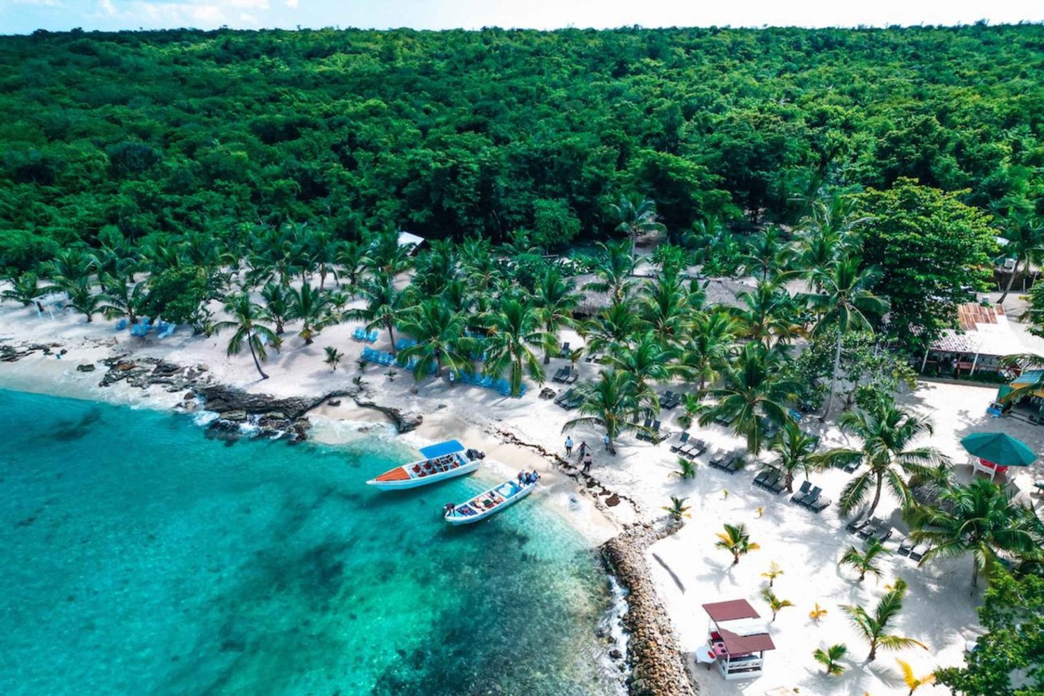 Isla Saona -pikaveneajelu – lounas, villieläimet ja luonnonaltaat