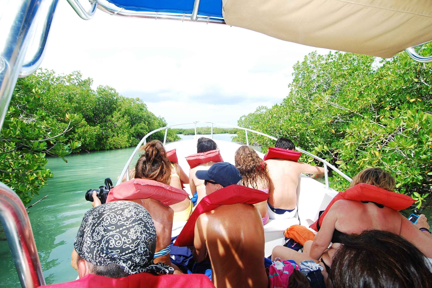 Isla Saona Wildlife Safari: Your All-Inclusive Escape