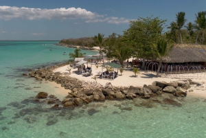 Isla Saona Wildlife Safari: Your All-Inclusive Escape