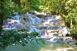 Jamaica: Día completo en el río Dunn y Blue Hole con almuerzo