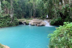 Jamaica: Heldagstur til Dunn's River og Blue Hole med lunsj