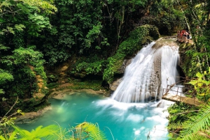 Jamaika: Dunn's River ja Blue Hole lounaalla: Kokopäiväinen Dunn's River ja Blue Hole lounaalla