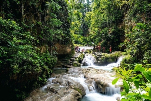 Jamaica: Heldagstur til Dunn's River og Blue Hole med lunsj