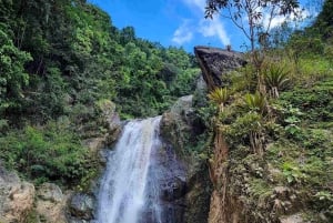 Jarabacoa: Ratsastusta Salto Baiguate -vesiputoukselle