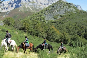 Харабакоа: верховая езда к водопаду Сальто-Байгуате