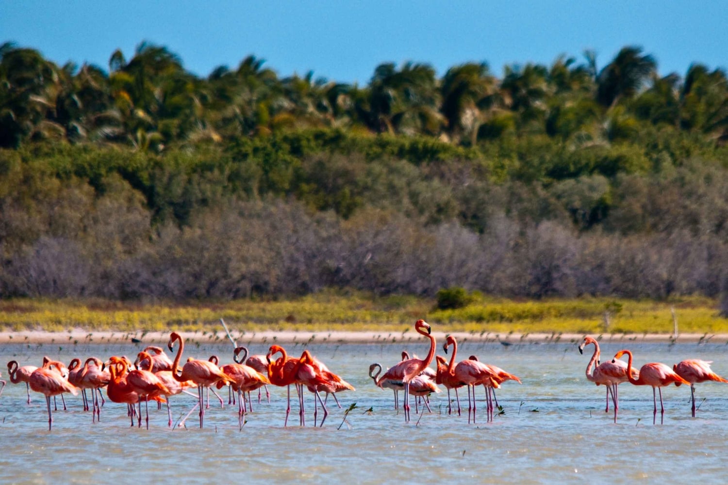 Jaragua National Park: Explore Laguna de Oviedo
