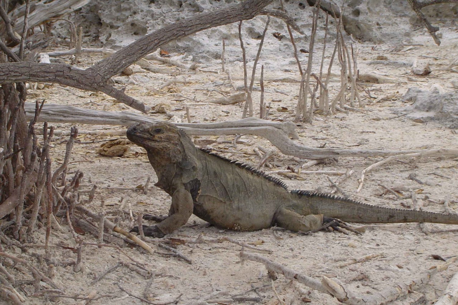 Jaragua National Park: Explore Laguna de Oviedo