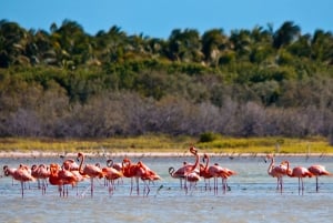 Jaragua National Park: Explore Laguna de Oviedo