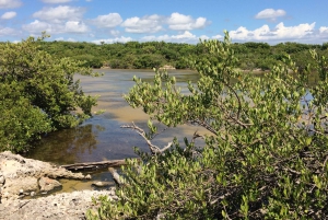 Jaragua National Park: Explore Laguna de Oviedo
