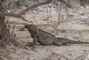 Jaragua National Park: Explore Laguna de Oviedo